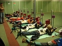 DSCN0951