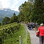 DSCN0091