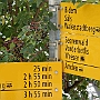 DSCN0103