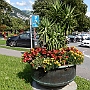 DSCN0106