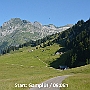 N71_7233
