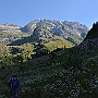 N71_7246