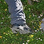 N71_7262