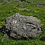 N71_7309