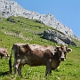 N71_7319