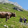 N71_7324