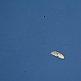 N71_7326
