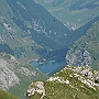 N71_7359