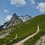 N71_7362