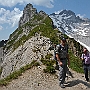 N71_7366