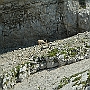 N71_7414
